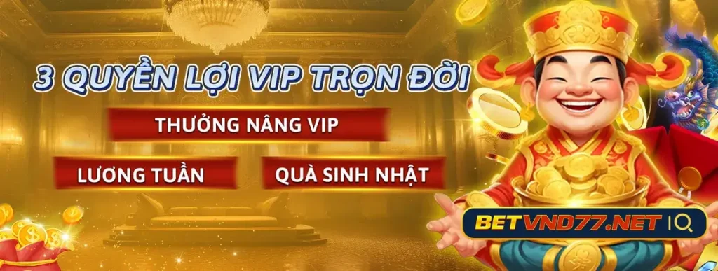 3 quyền lợi của vip tại 347betvnd